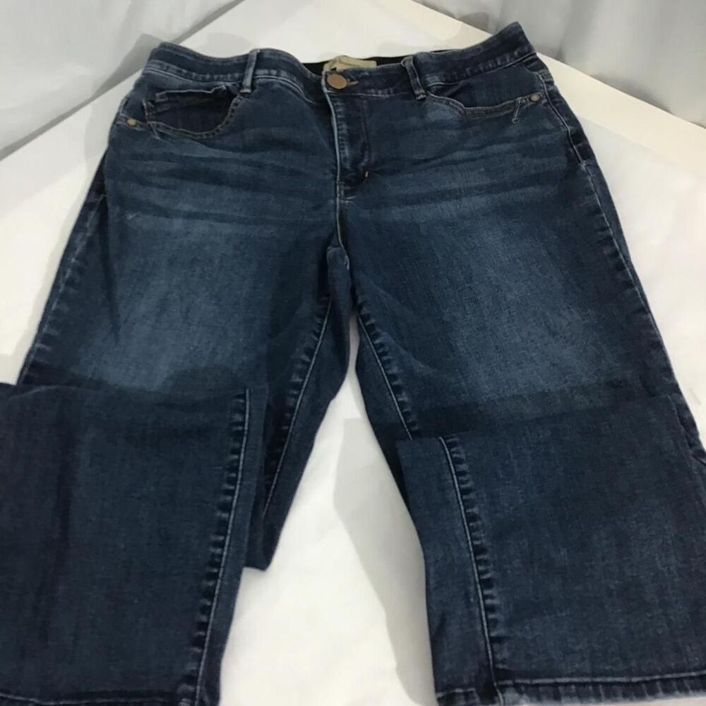 Democracy Women's Blue and Navy Jeans